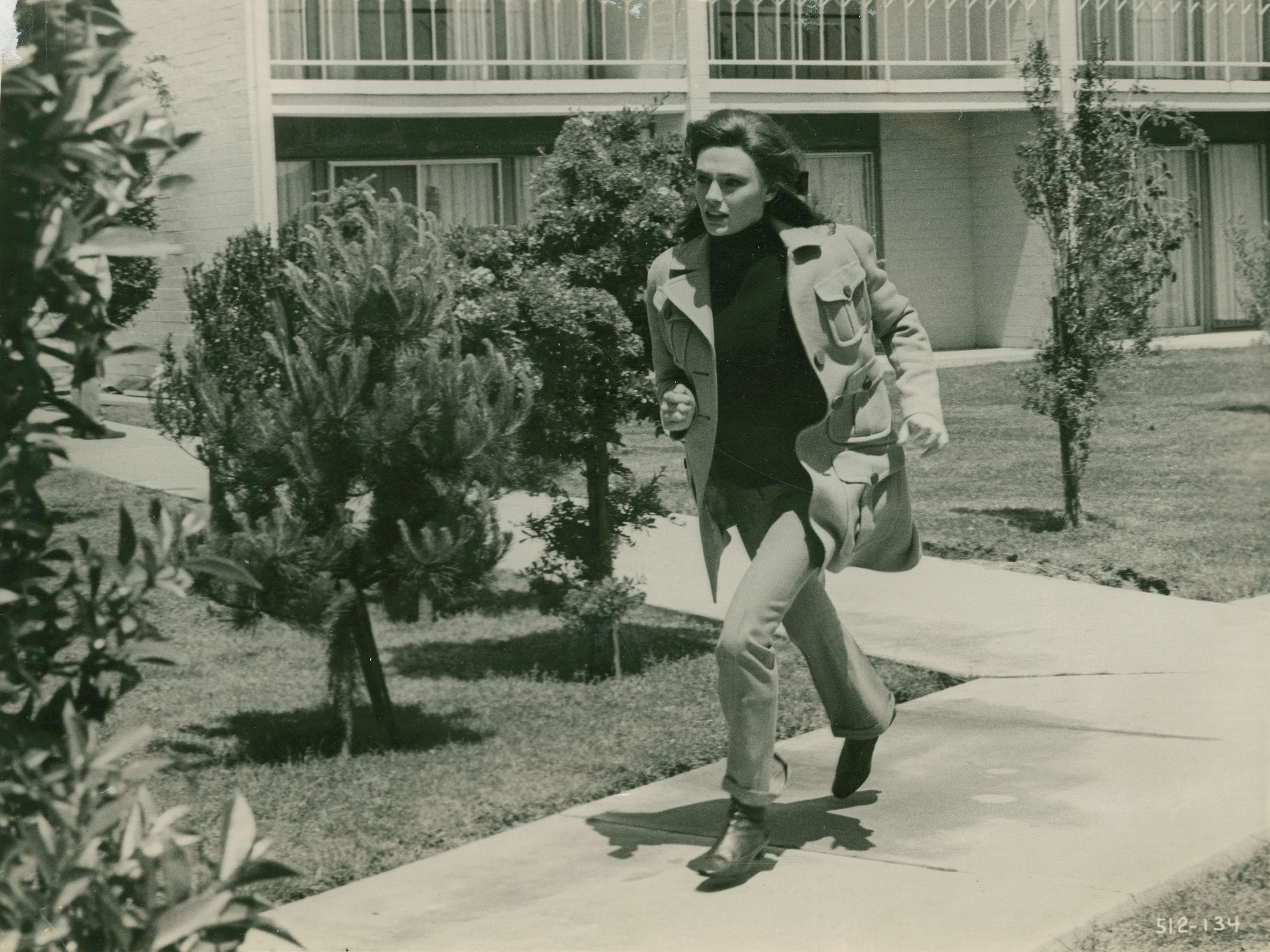 布利特剧照的剧照