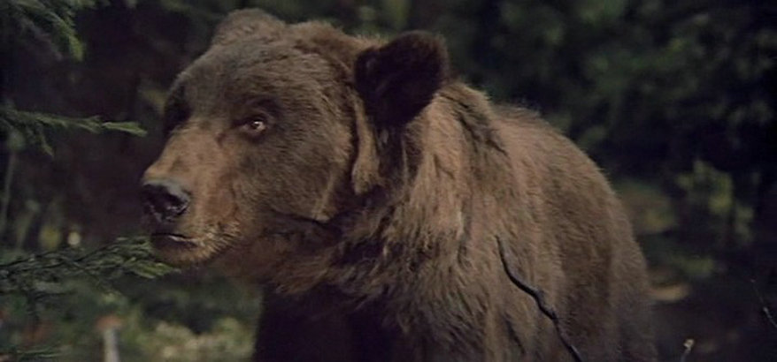 黄金鹿角剧照的剧照