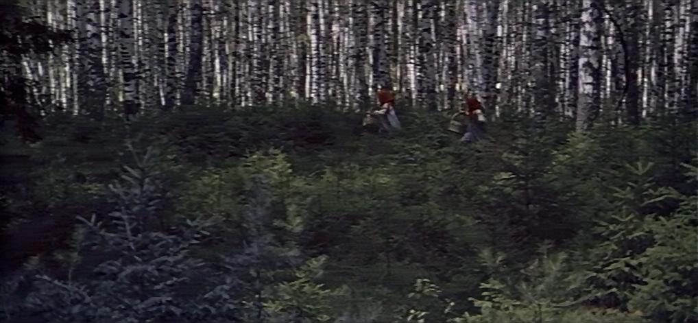 黄金鹿角剧照的剧照