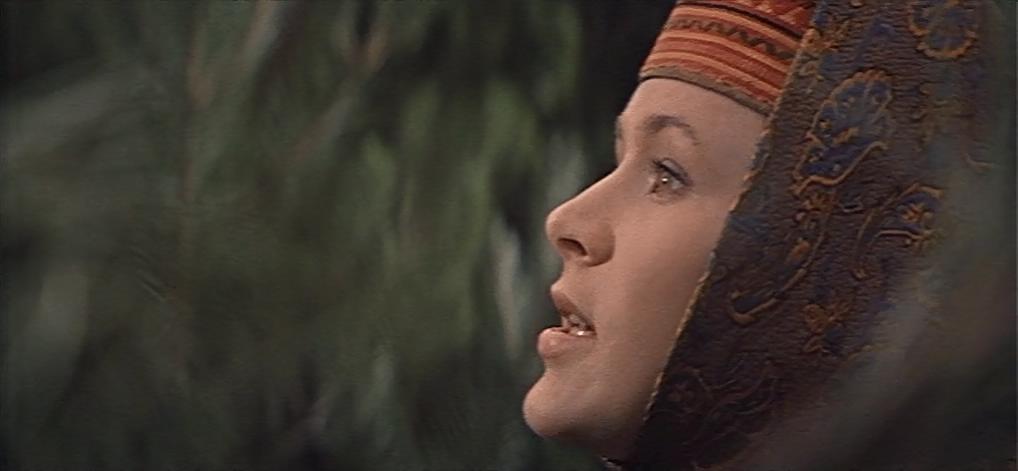 黄金鹿角剧照的剧照