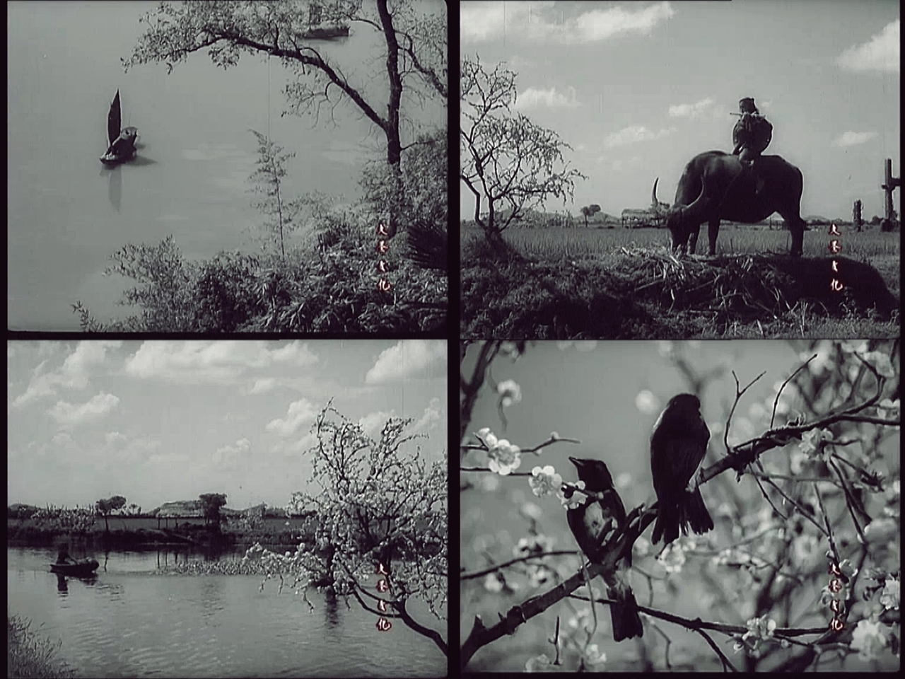 秋翁遇仙记剧照的剧照