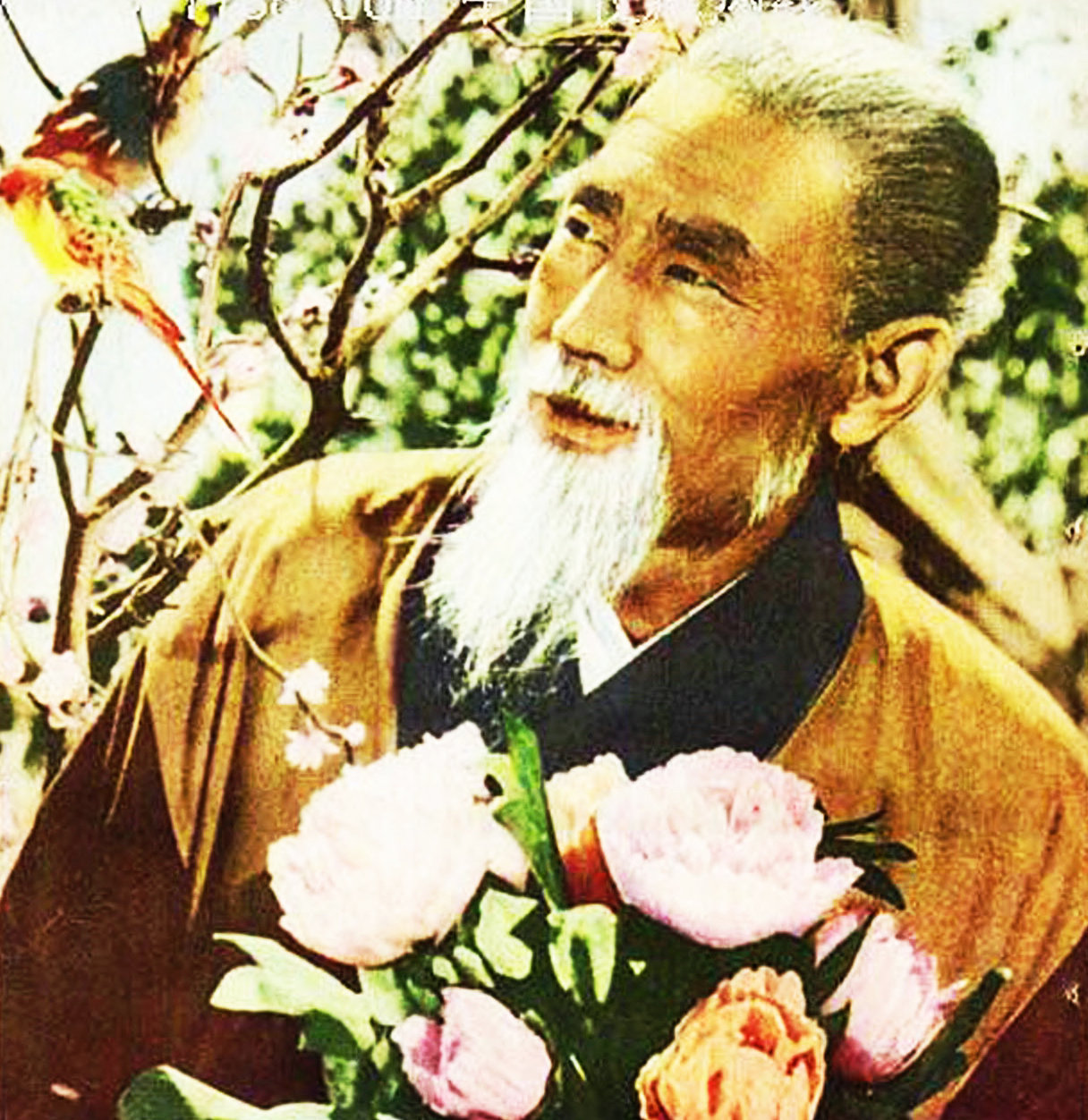 秋翁遇仙记剧照的剧照