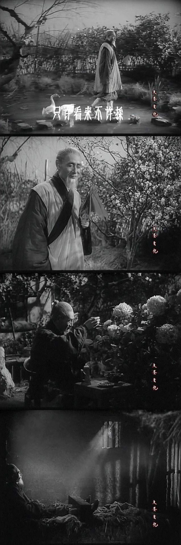 秋翁遇仙记剧照的剧照