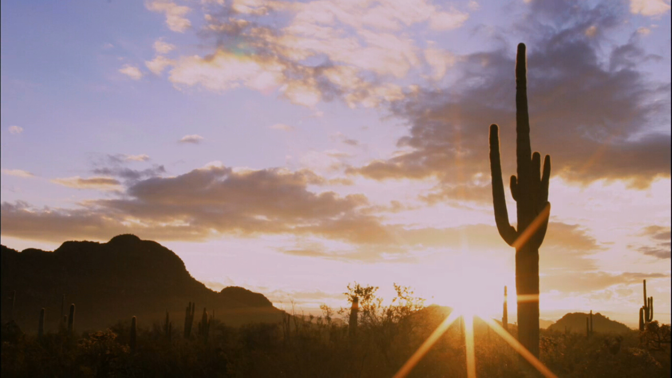 永久地剧照的剧照