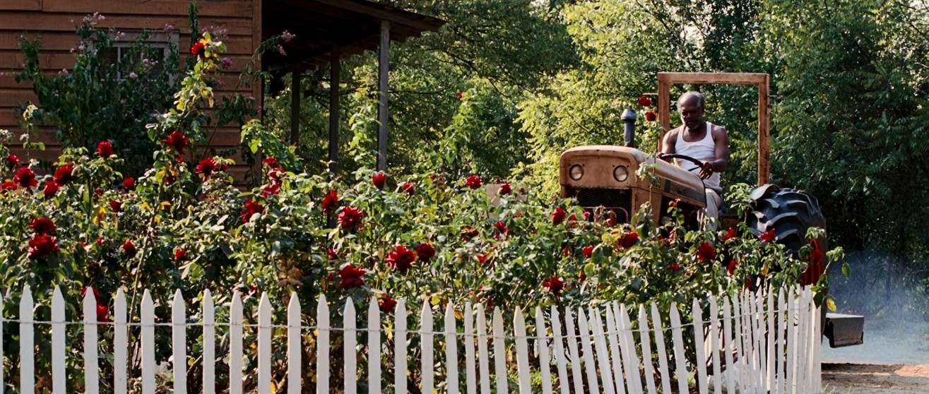黑蛇呻吟剧照的剧照