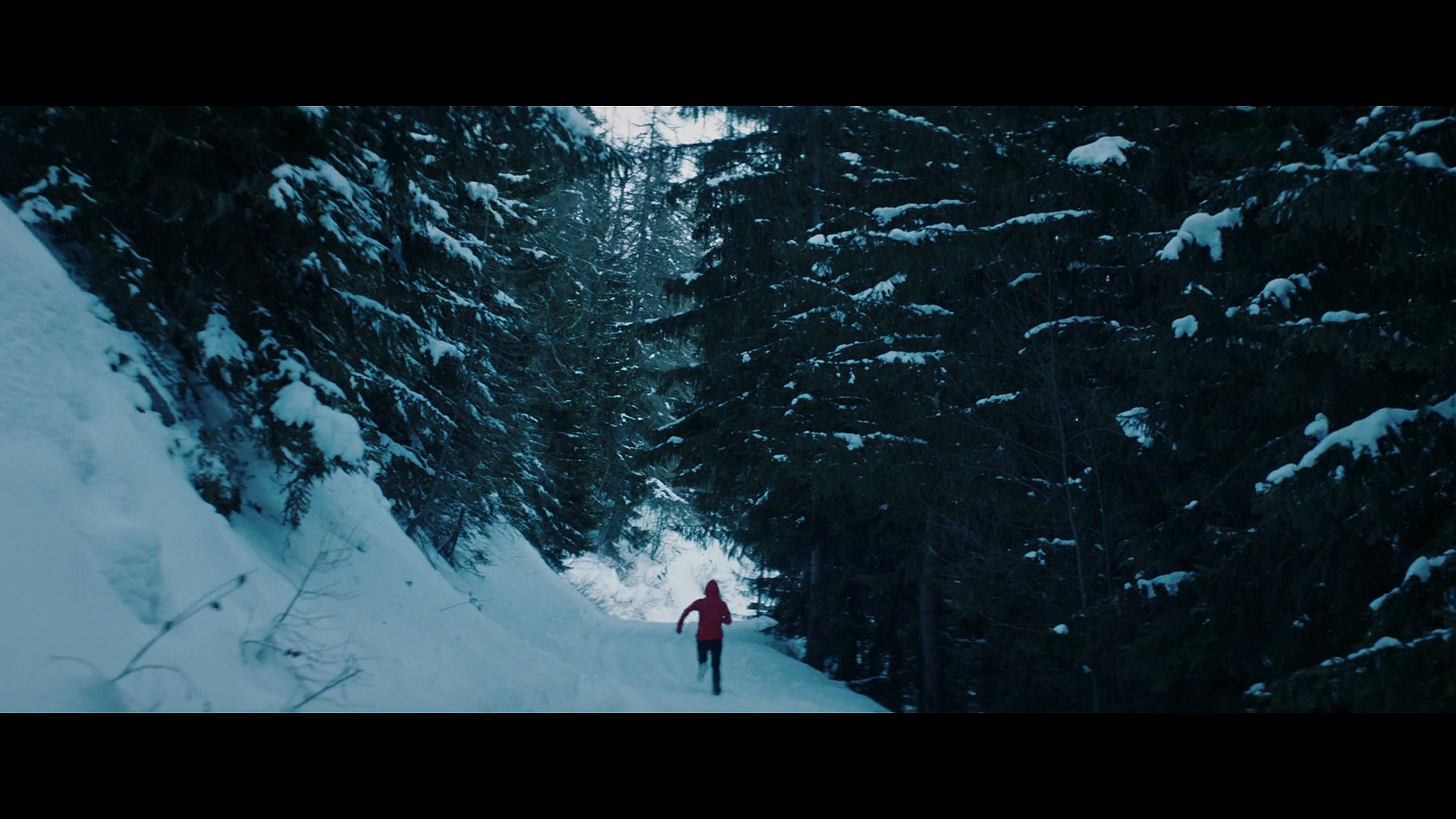 障碍滑雪赛剧照的剧照
