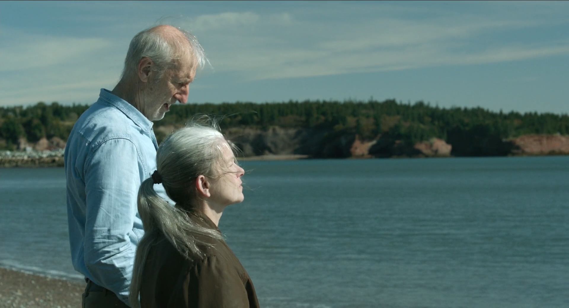 依然如是剧照的剧照