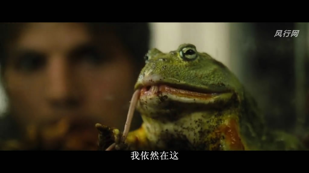 蔓延剧照的剧照