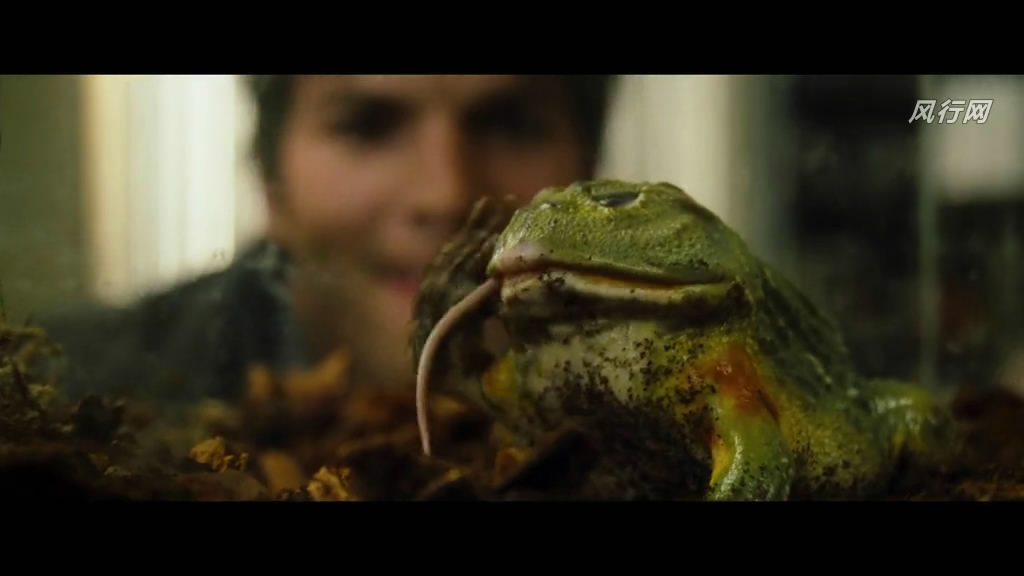 蔓延剧照的剧照