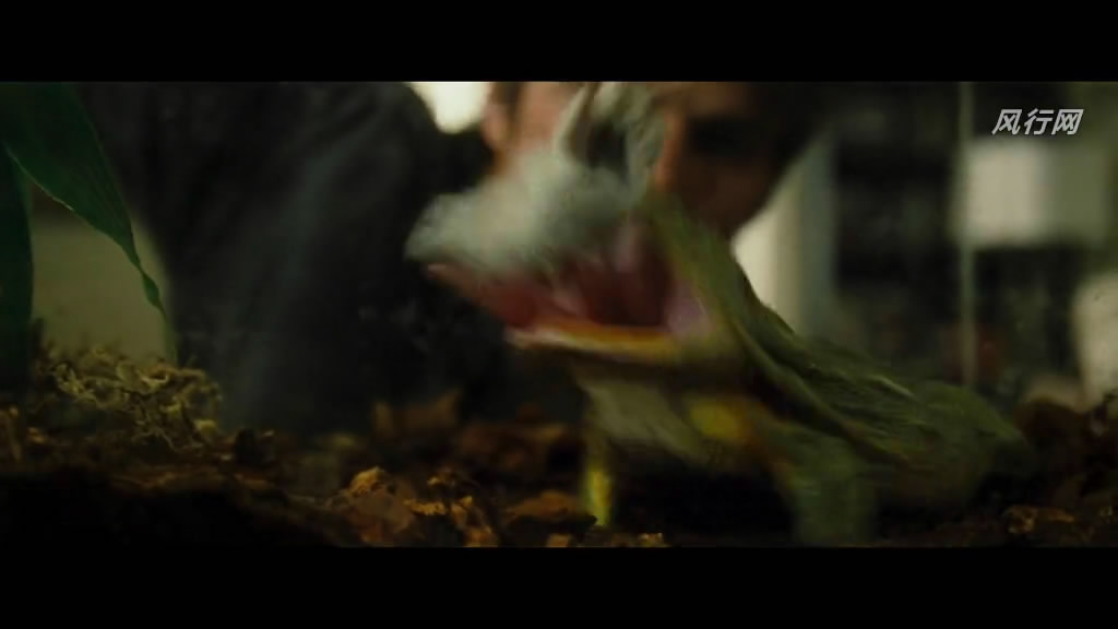 蔓延剧照的剧照