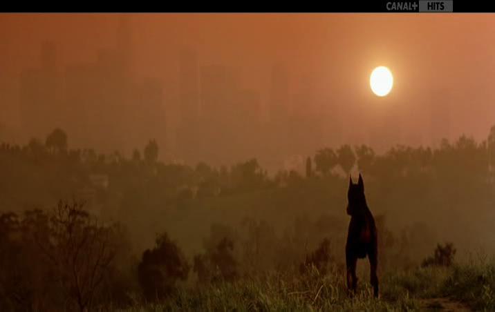 变色天使剧照的剧照