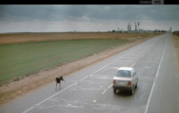 变色天使剧照的剧照