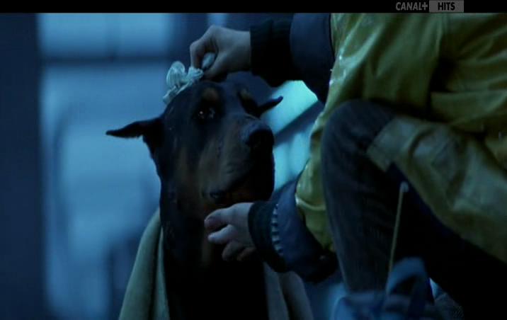 变色天使剧照的剧照