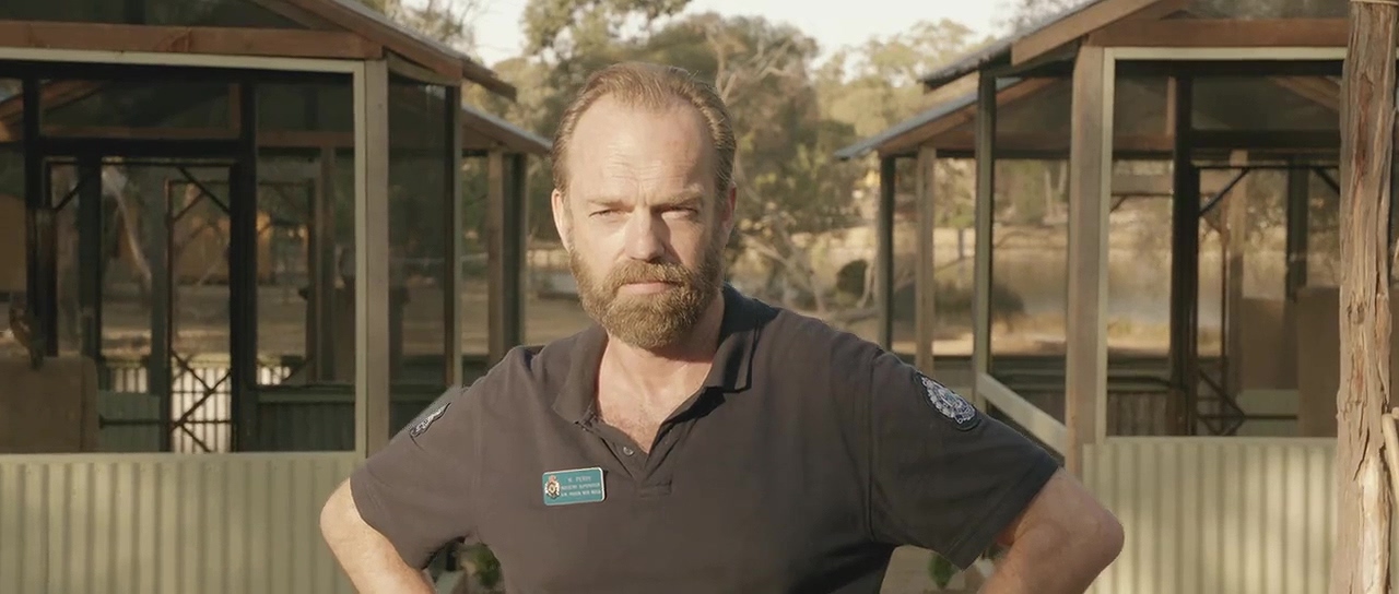 愈合剧照的剧照