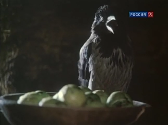 孤狼剧照的剧照