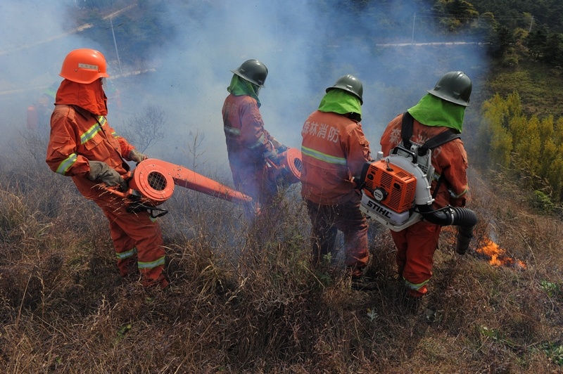 完美人生剧照的剧照