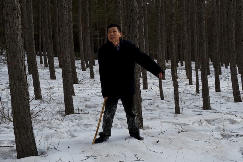 完美人生剧照的剧照