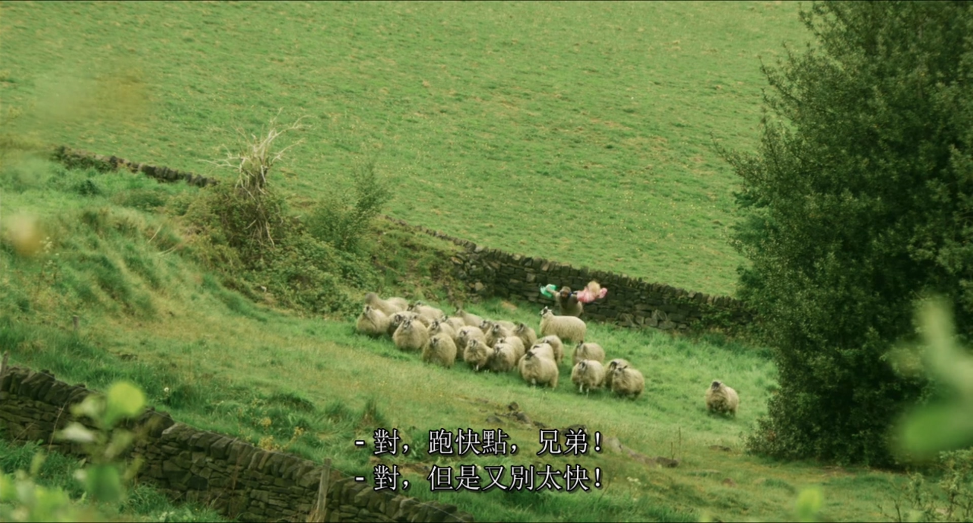 四头狮子剧照的剧照