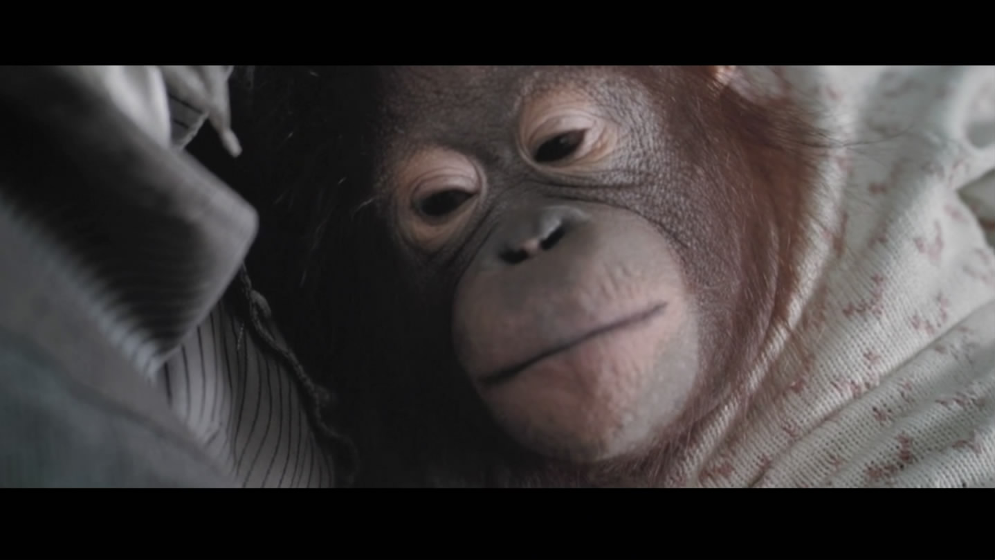 造物弄人剧照的剧照