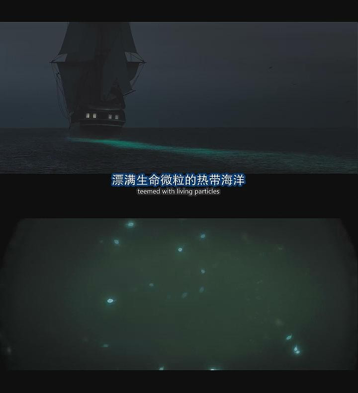 造物弄人剧照的剧照