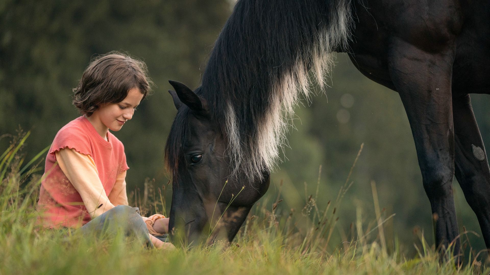 骏马奥斯温4剧照的剧照