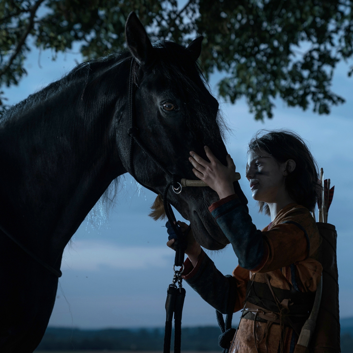 骏马奥斯温4剧照的剧照