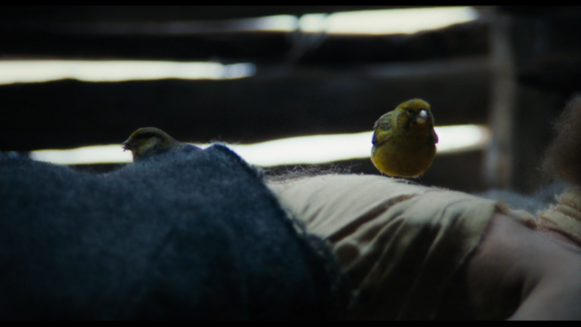 河道女王剧照的剧照