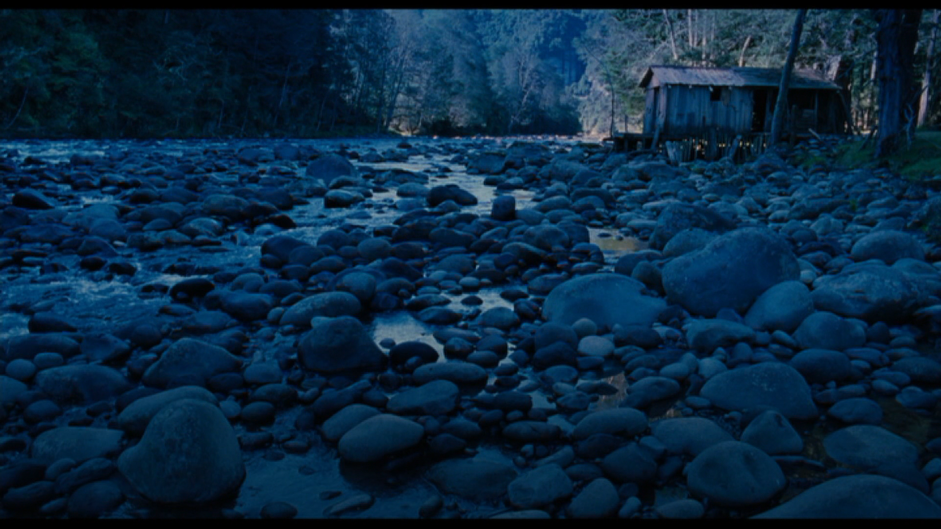 河道女王剧照的剧照