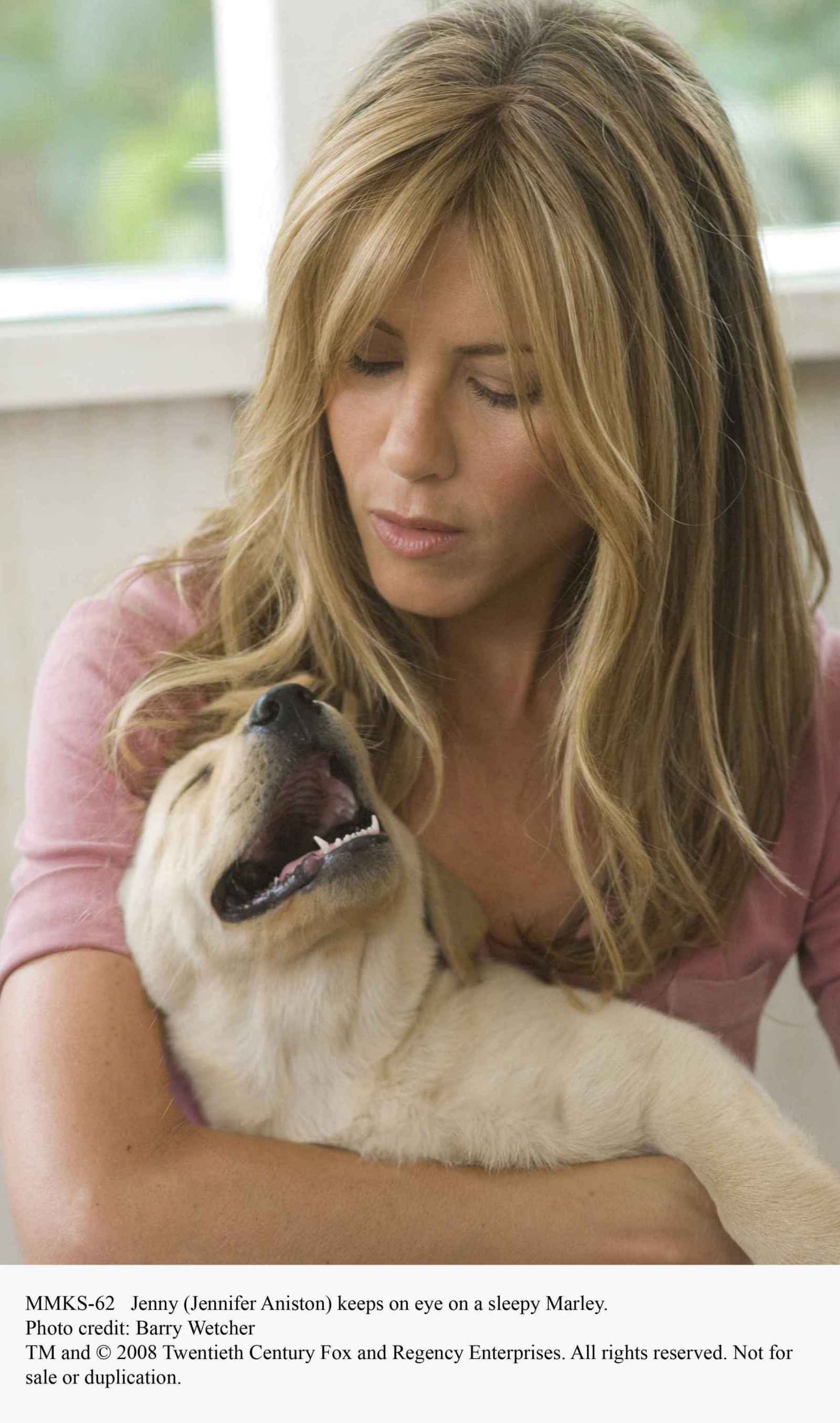 马利和我剧照的剧照