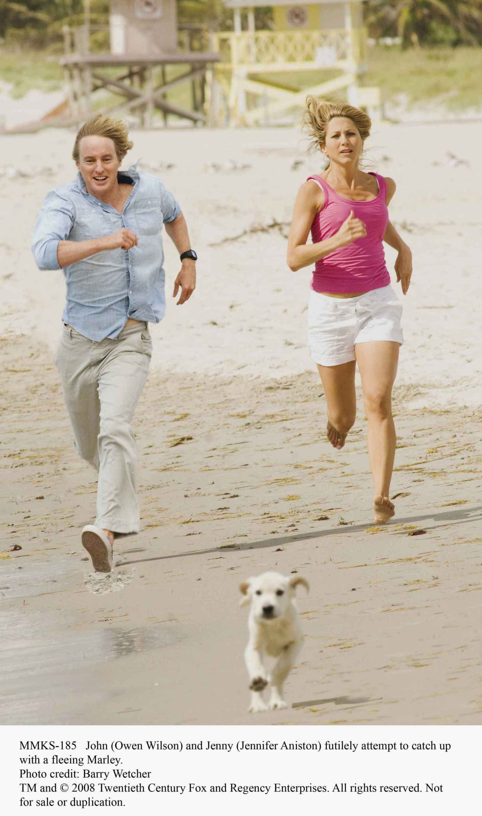 马利和我剧照的剧照