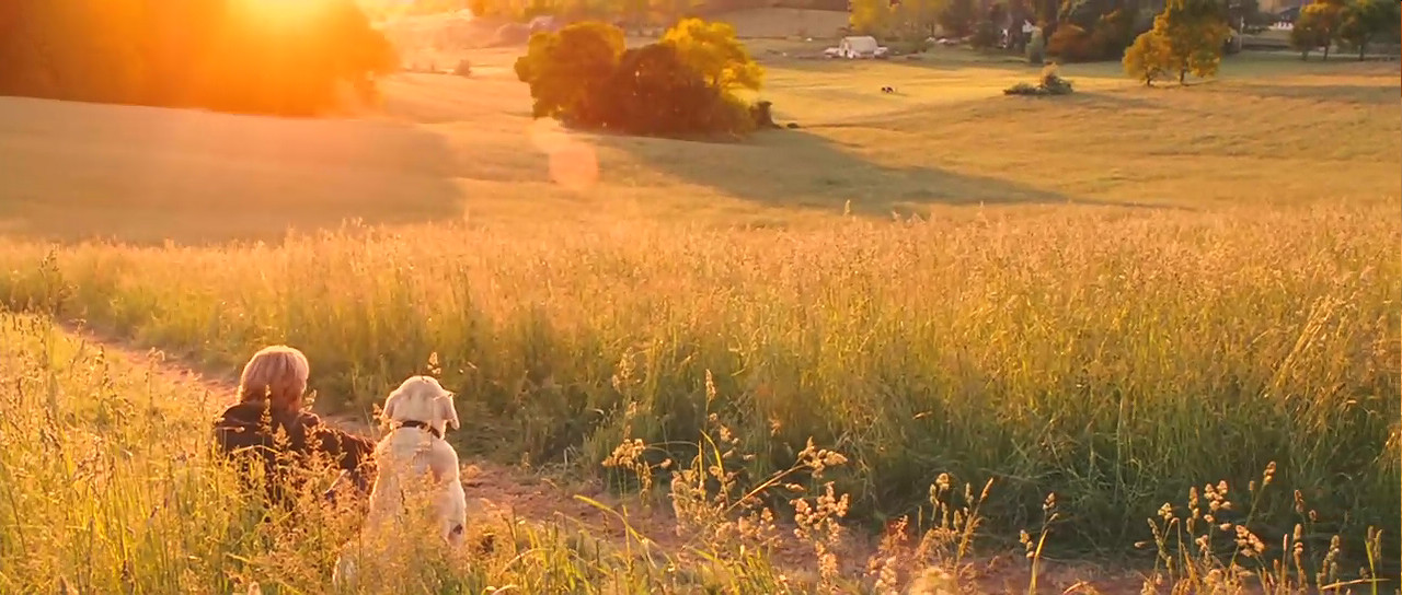 马利和我剧照的剧照