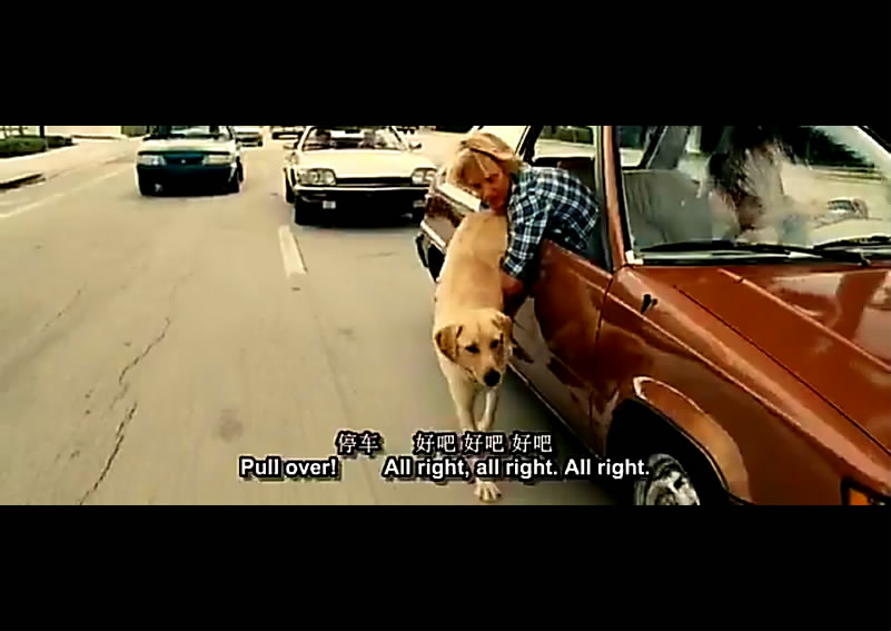 马利和我剧照的剧照