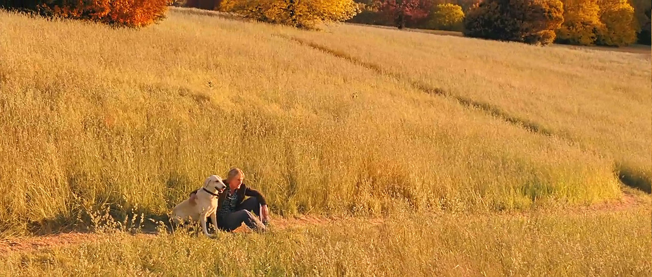 马利和我剧照的剧照