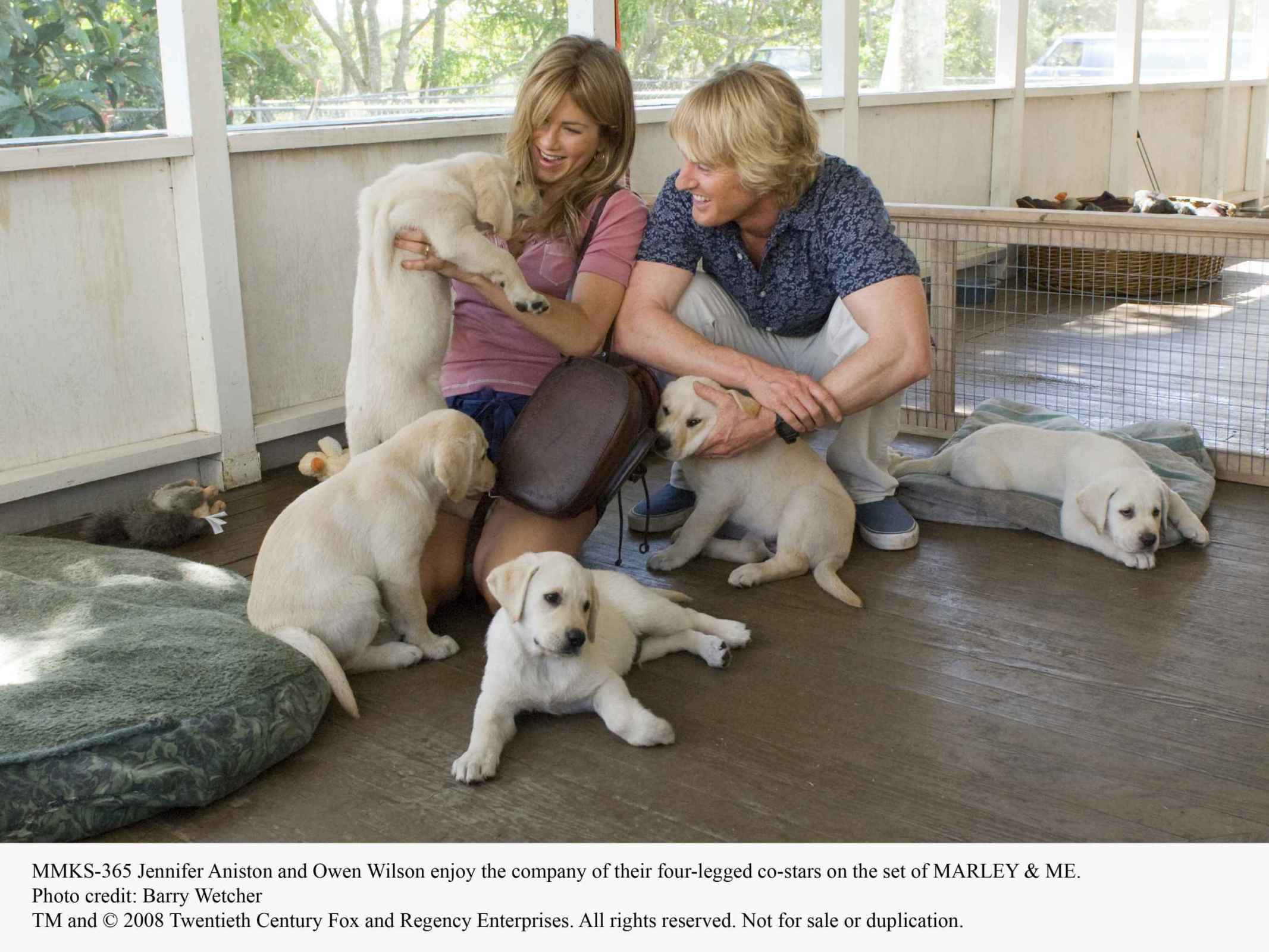 马利和我剧照的剧照