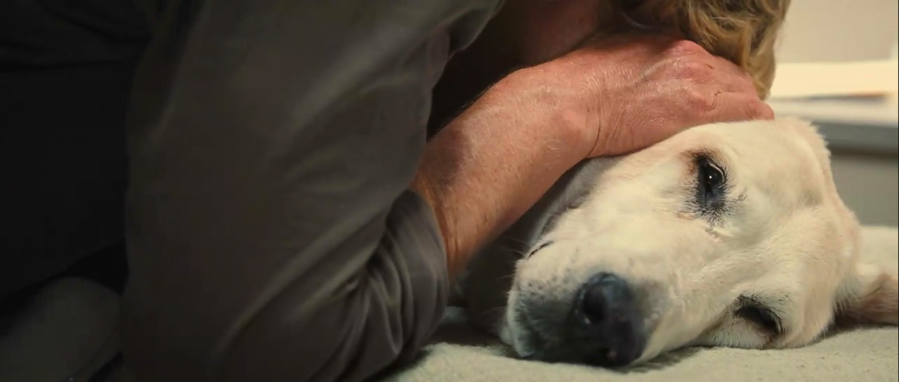 马利和我剧照的剧照