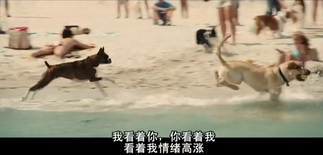 马利和我剧照的剧照