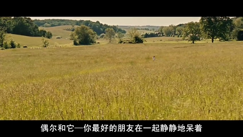 马利和我剧照的剧照