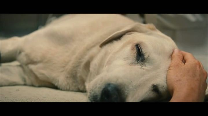 马利和我剧照的剧照