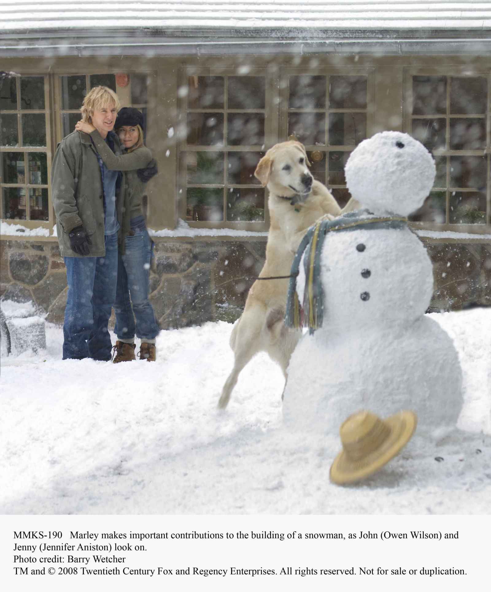 马利和我剧照的剧照