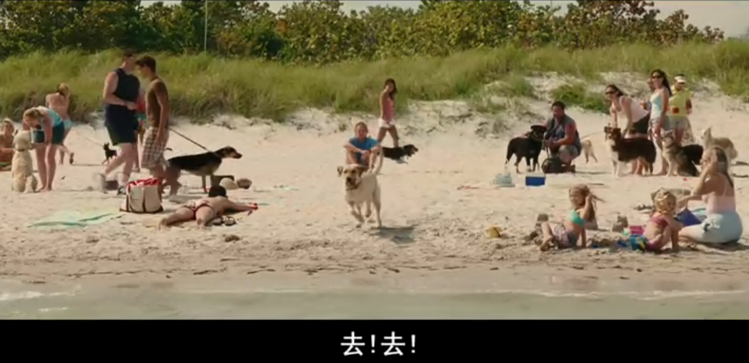 马利和我剧照的剧照