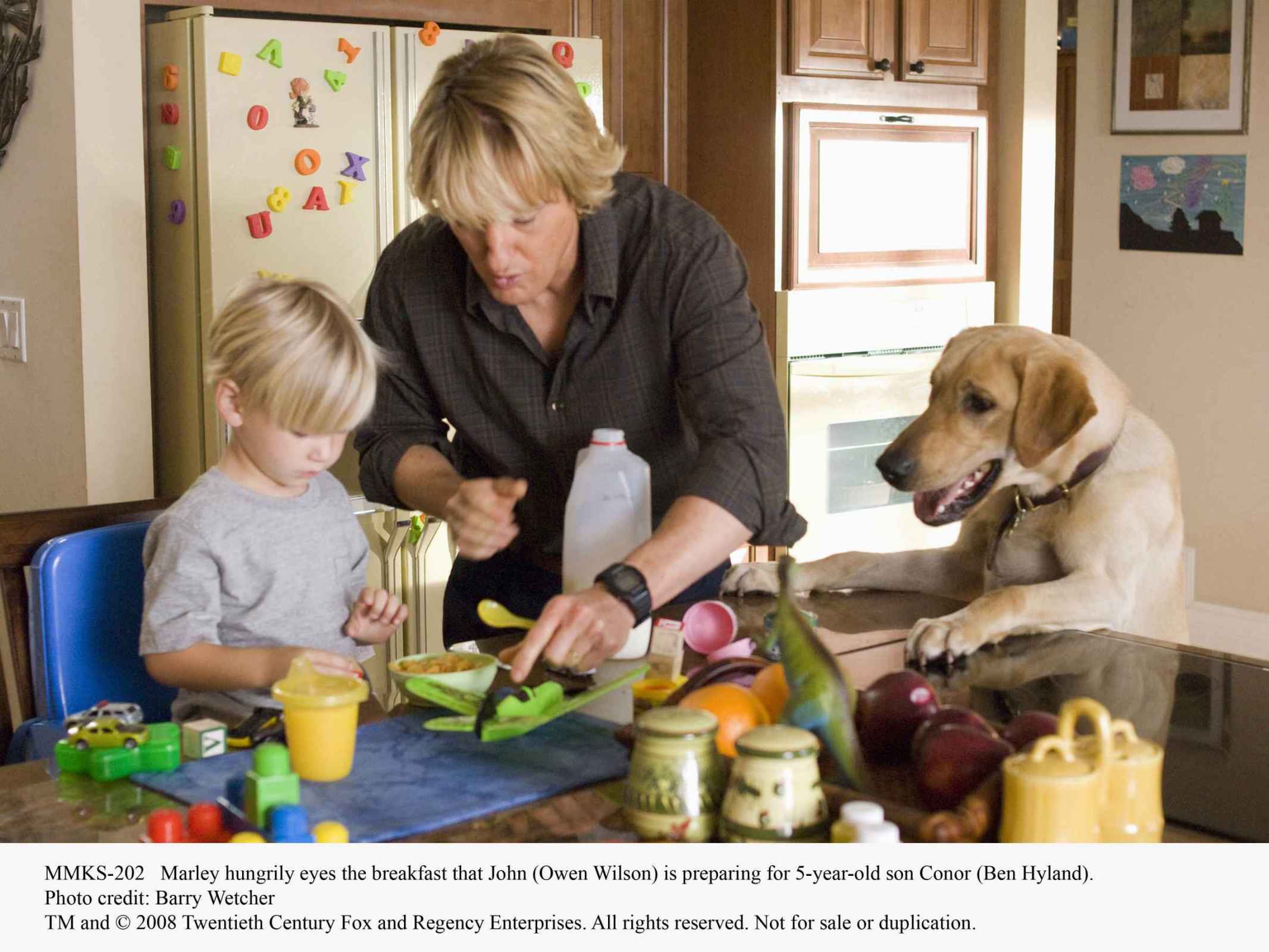 马利和我剧照的剧照