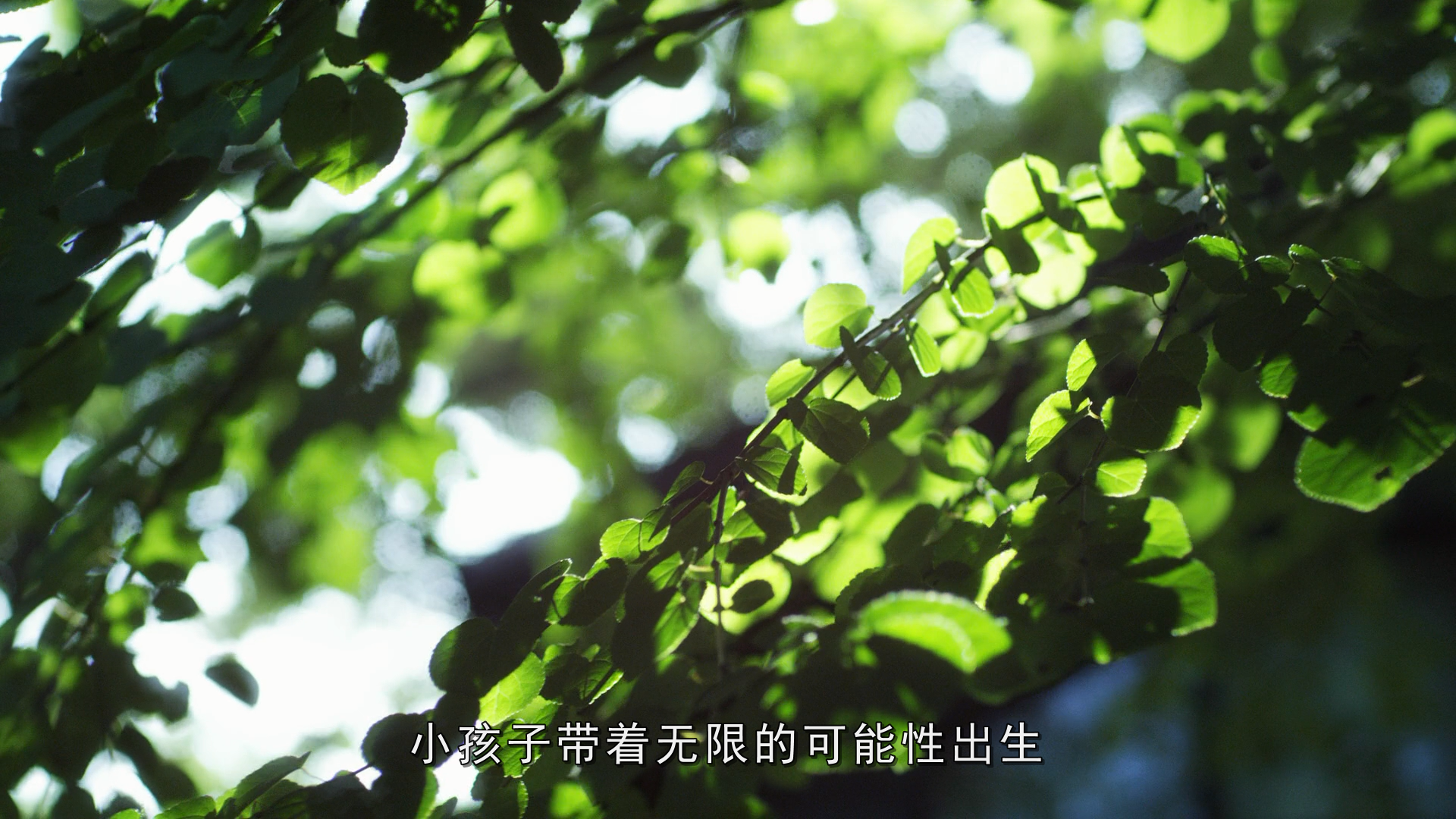 梦与狂想的王国剧照的剧照