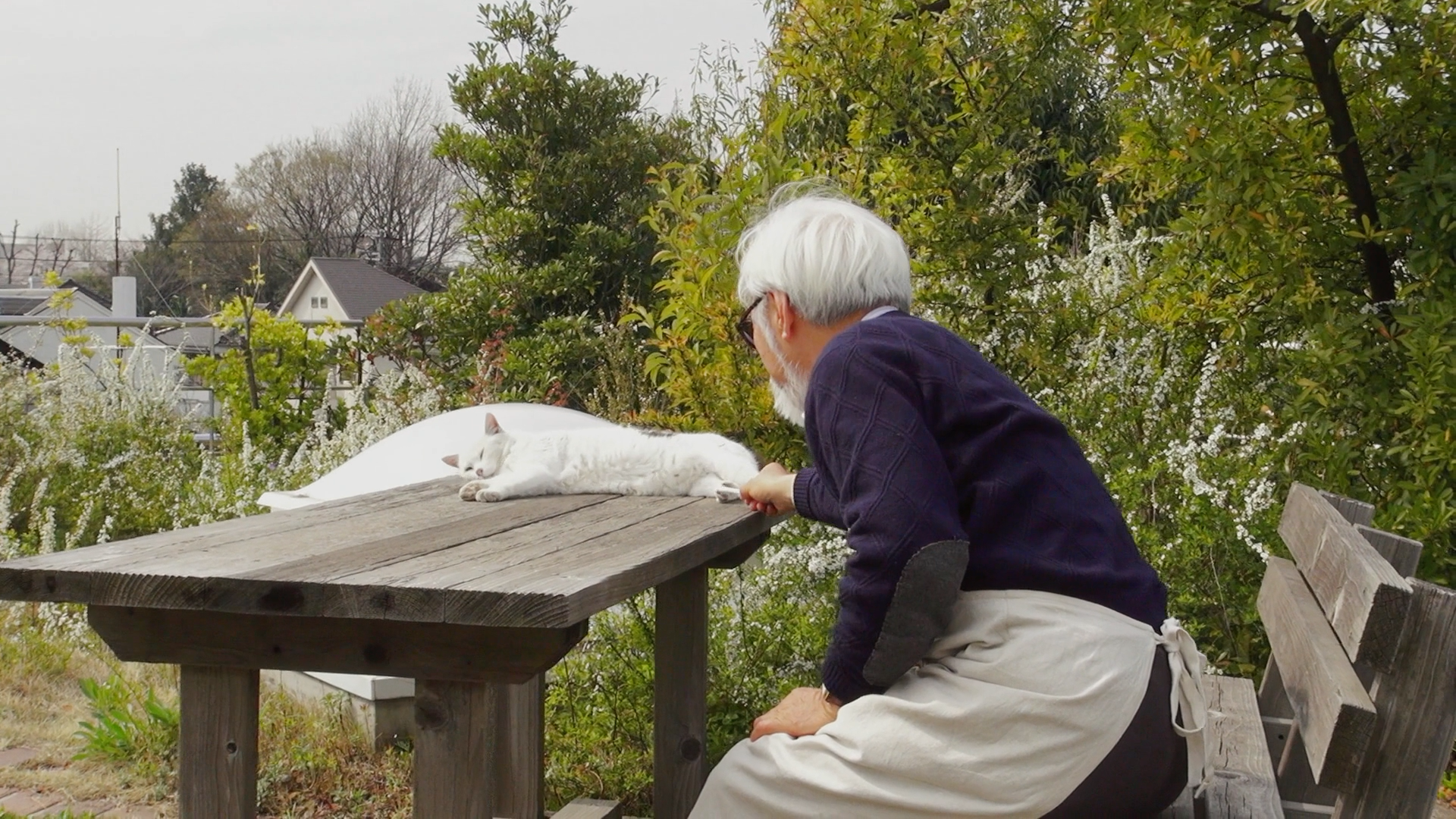 梦与狂想的王国剧照的剧照