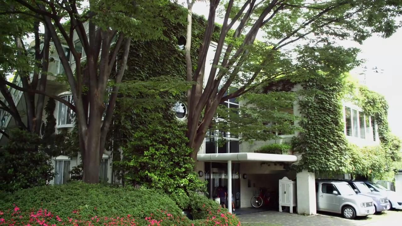 梦与狂想的王国剧照的剧照