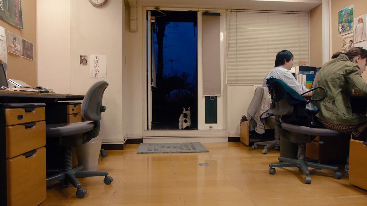 梦与狂想的王国剧照的剧照