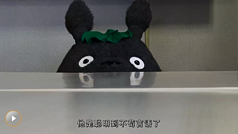 梦与狂想的王国剧照的剧照