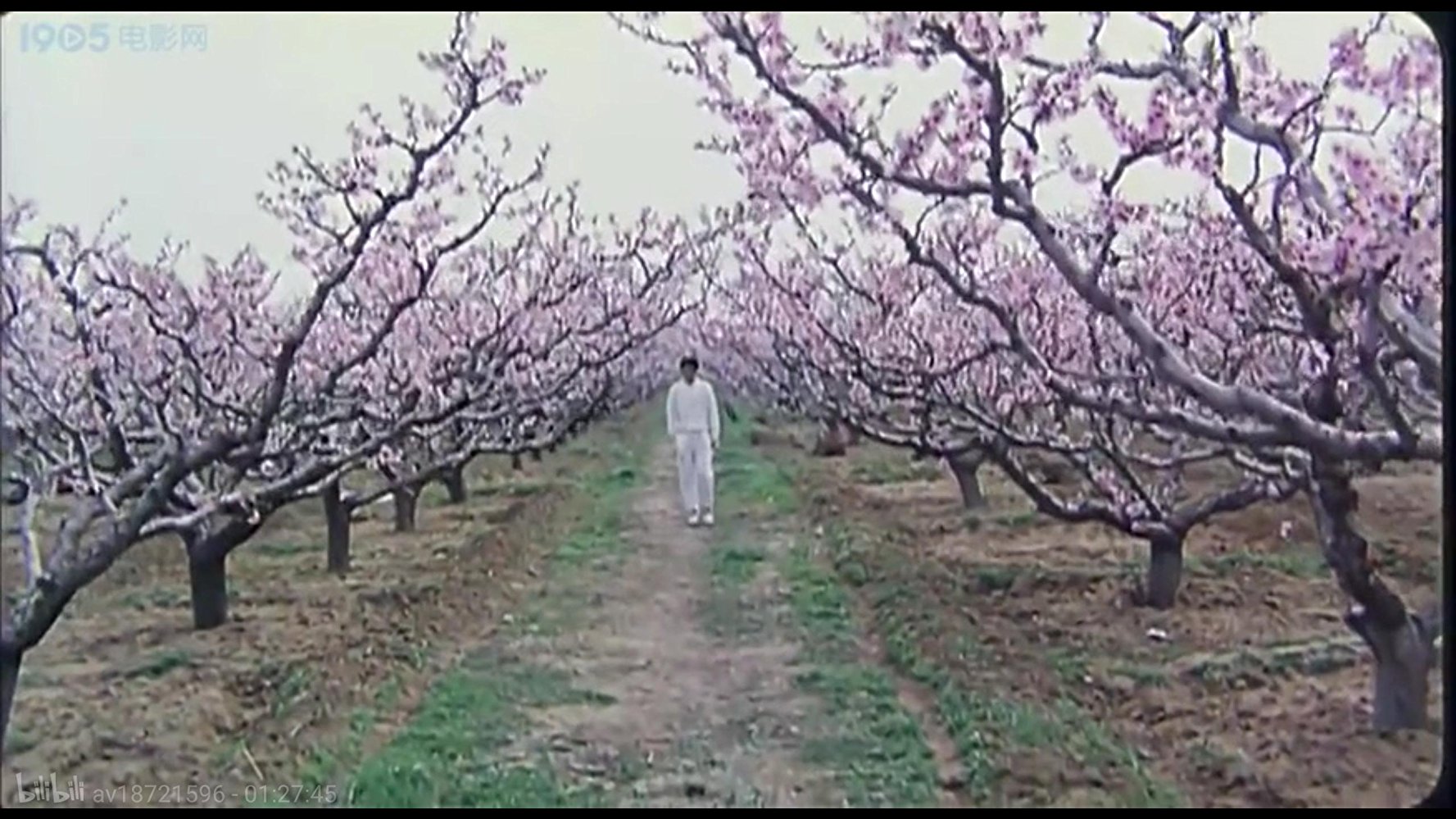 不要问我从哪里来剧照的剧照