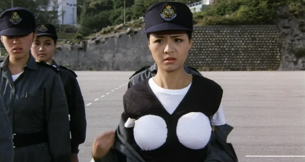 神勇飞虎霸王花剧照的剧照