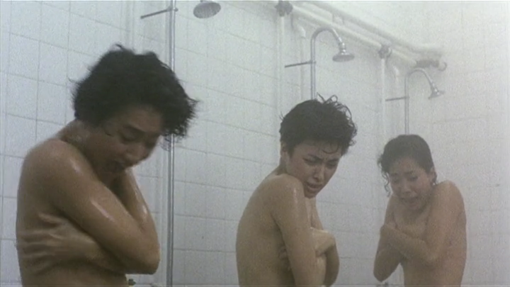 神勇飞虎霸王花剧照的剧照