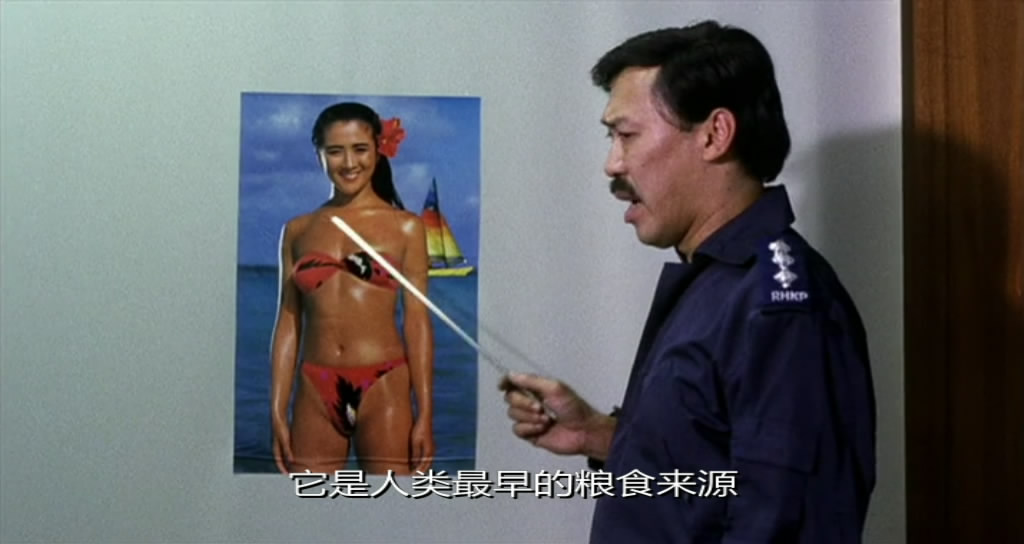 神勇飞虎霸王花剧照的剧照